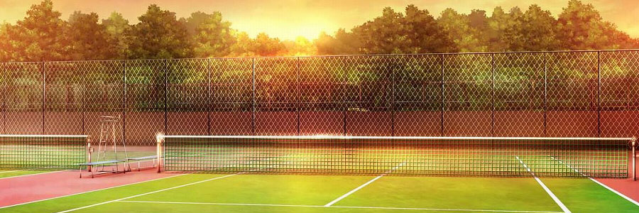 ����ƥ˥���������